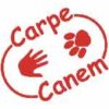 Carpe-Canem Carpe Canem