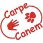 Carpe Canem