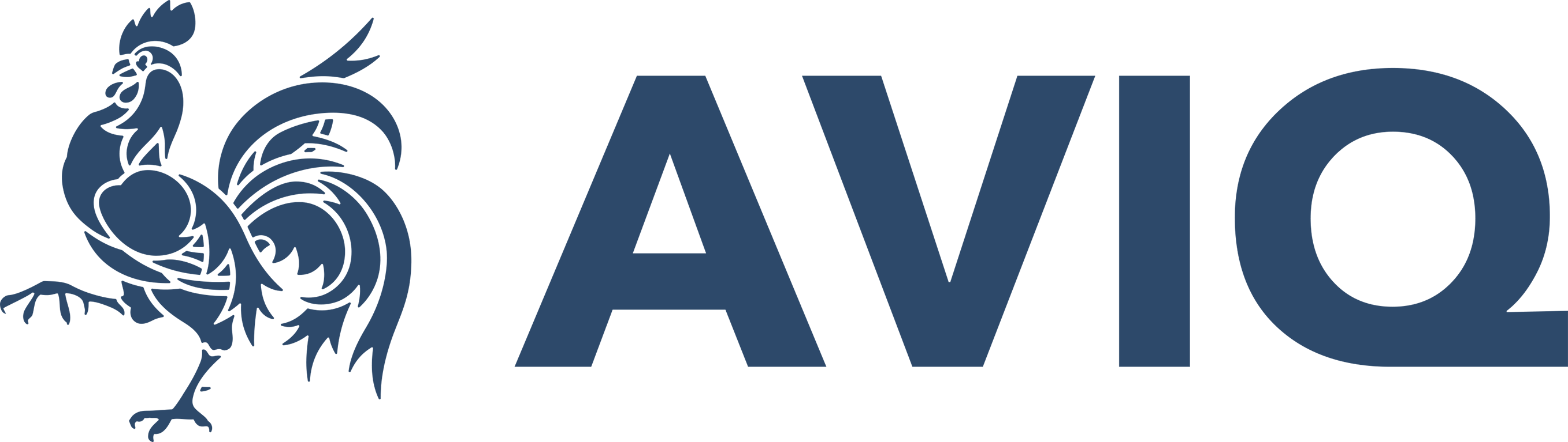 Logo AVIQ 2025